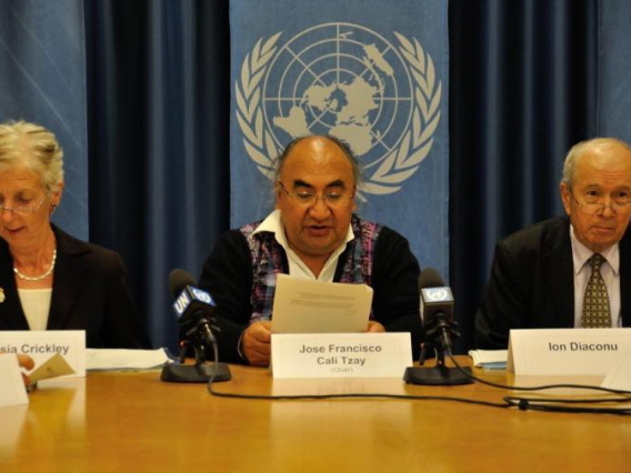 UN Special Rapporteur Presenting